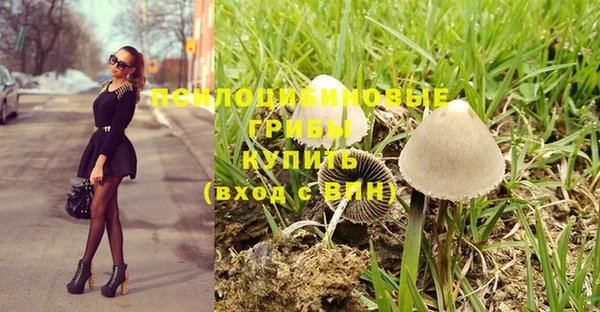 таблы Елабуга