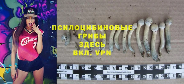 MESCALINE Ельня